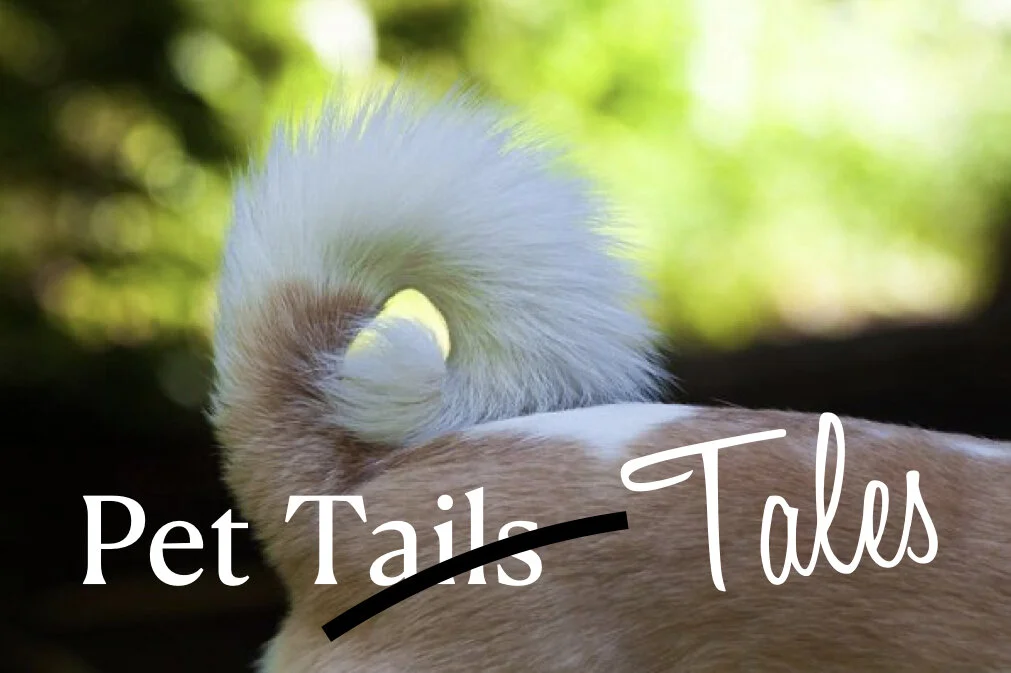 Share Your Pet Tale (Or Pictures)