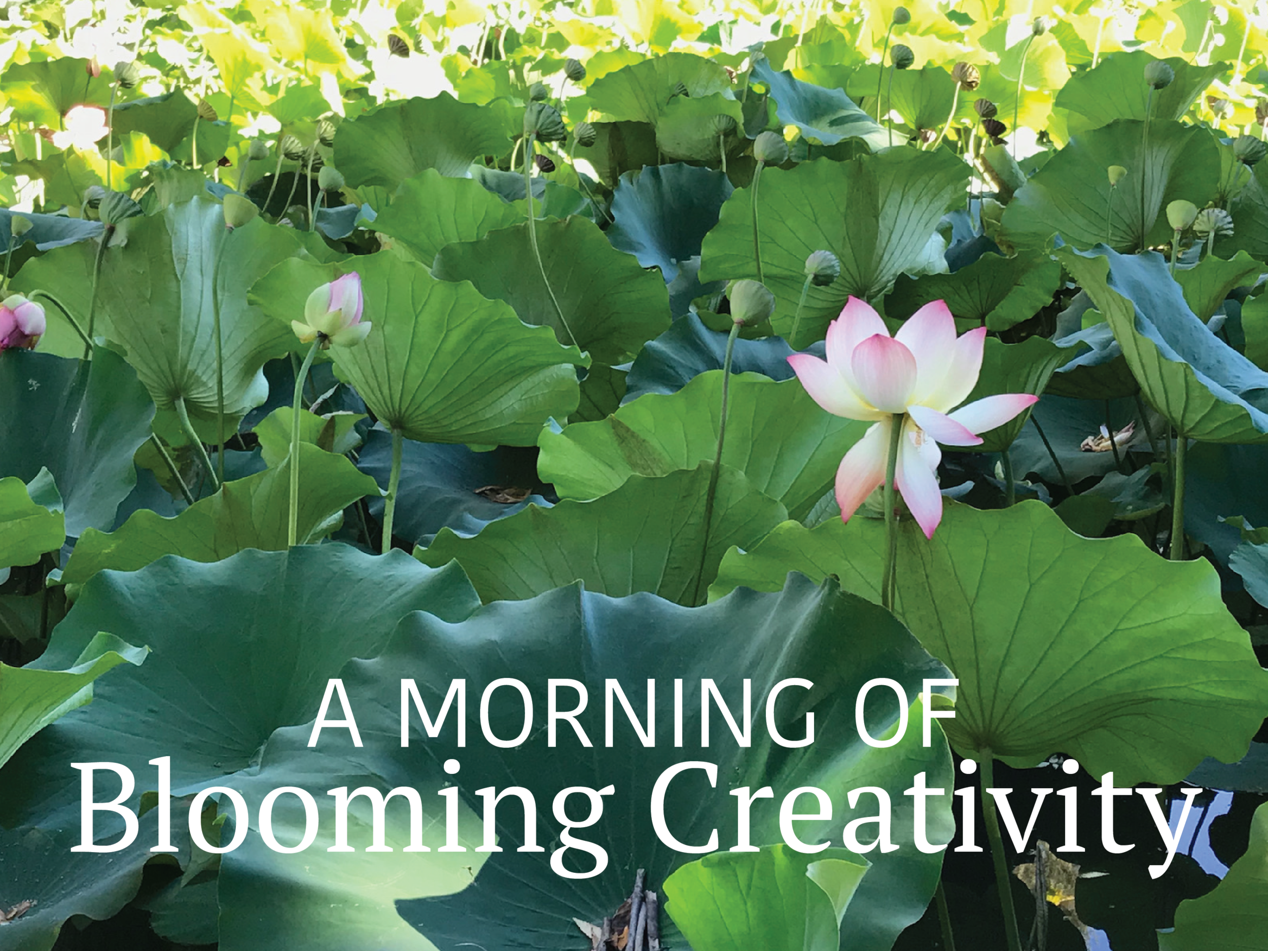 “Blooming Creativity” on June 24