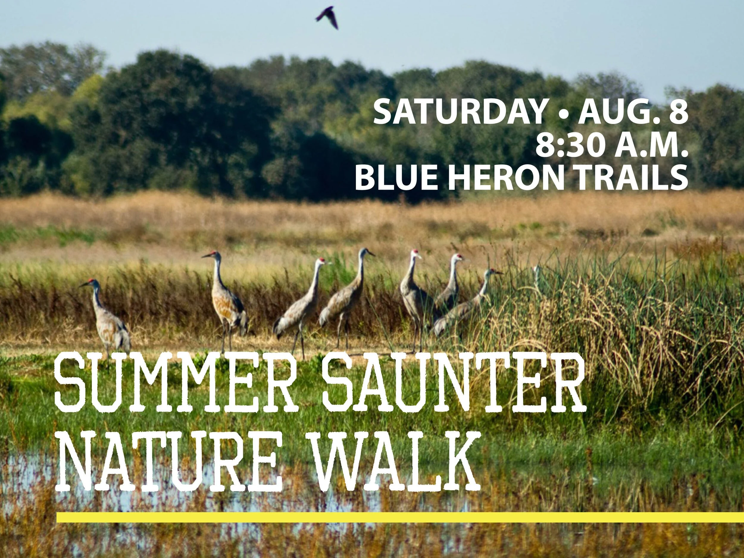 Enjoying the Outdoors at the 2020 Summer Saunter Nature Walk