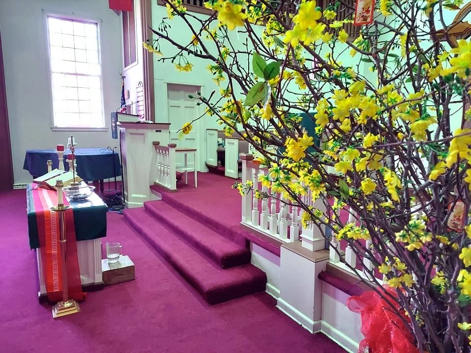 Happy Lunar New Year!