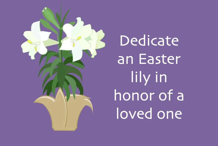 Honor Someone With an Easter Lily