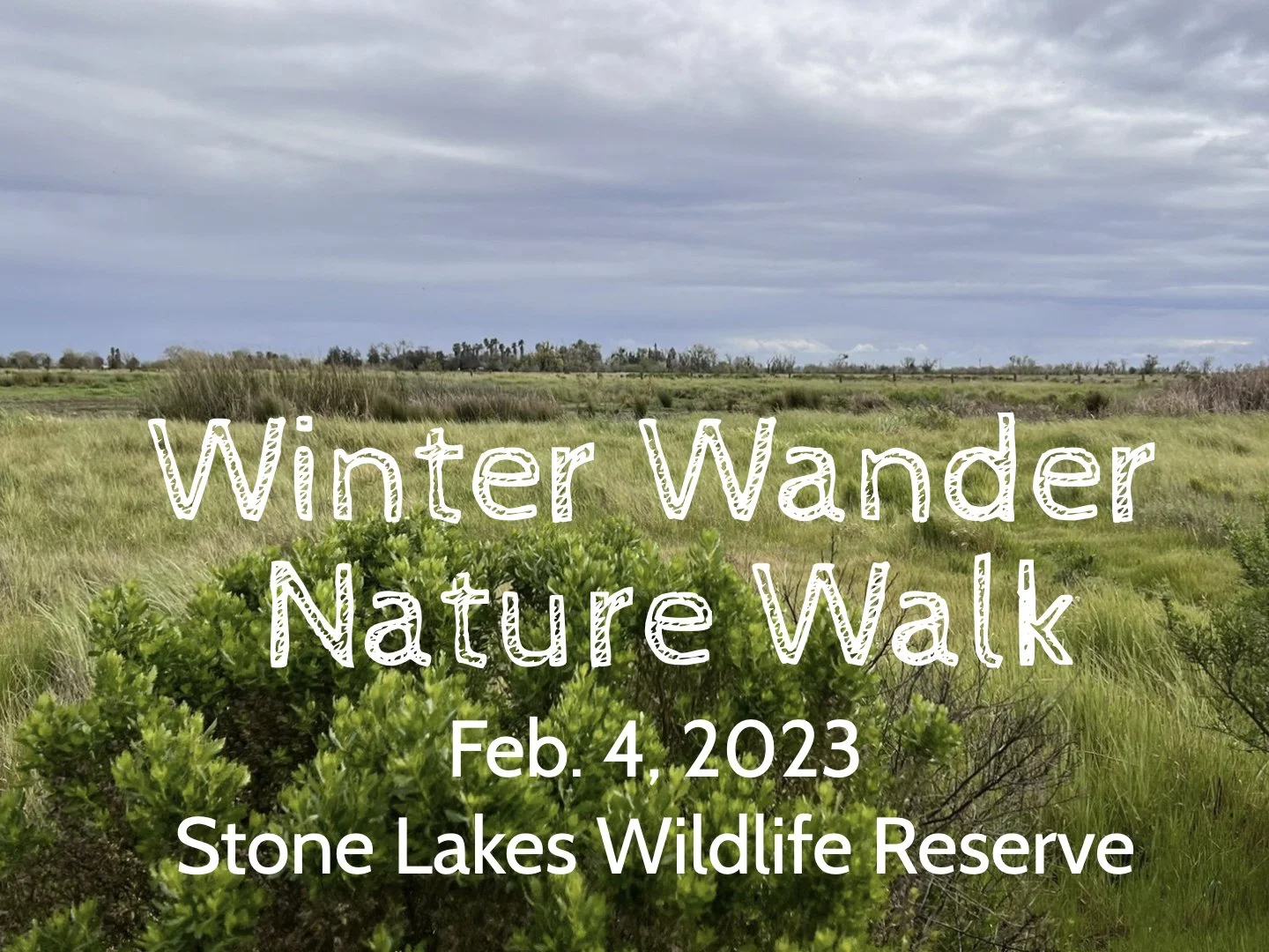 Bethany Members Participated in "Winter Wander"