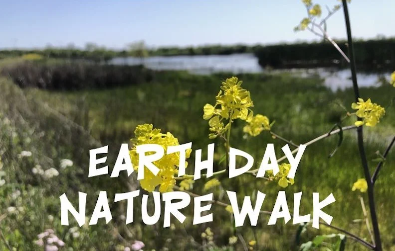 Celebrate Earth Day on a Nature Walk with Bethany