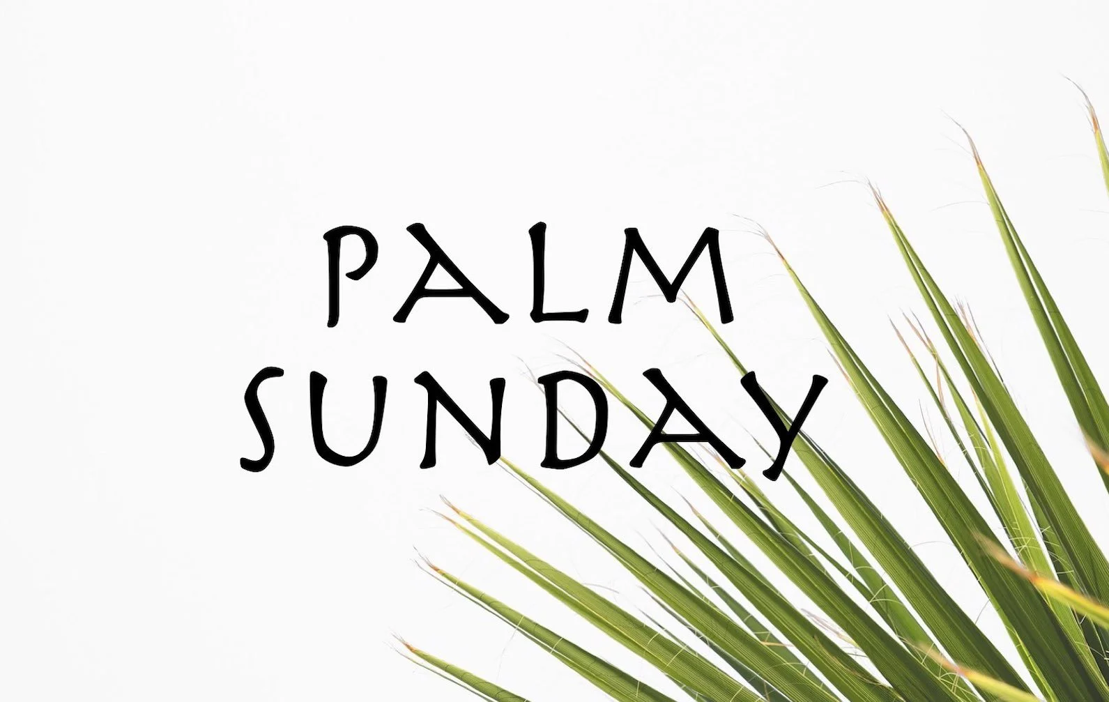 Palm Sunday