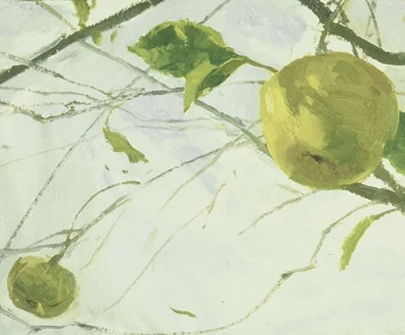 Worship Service • April 30, 2023