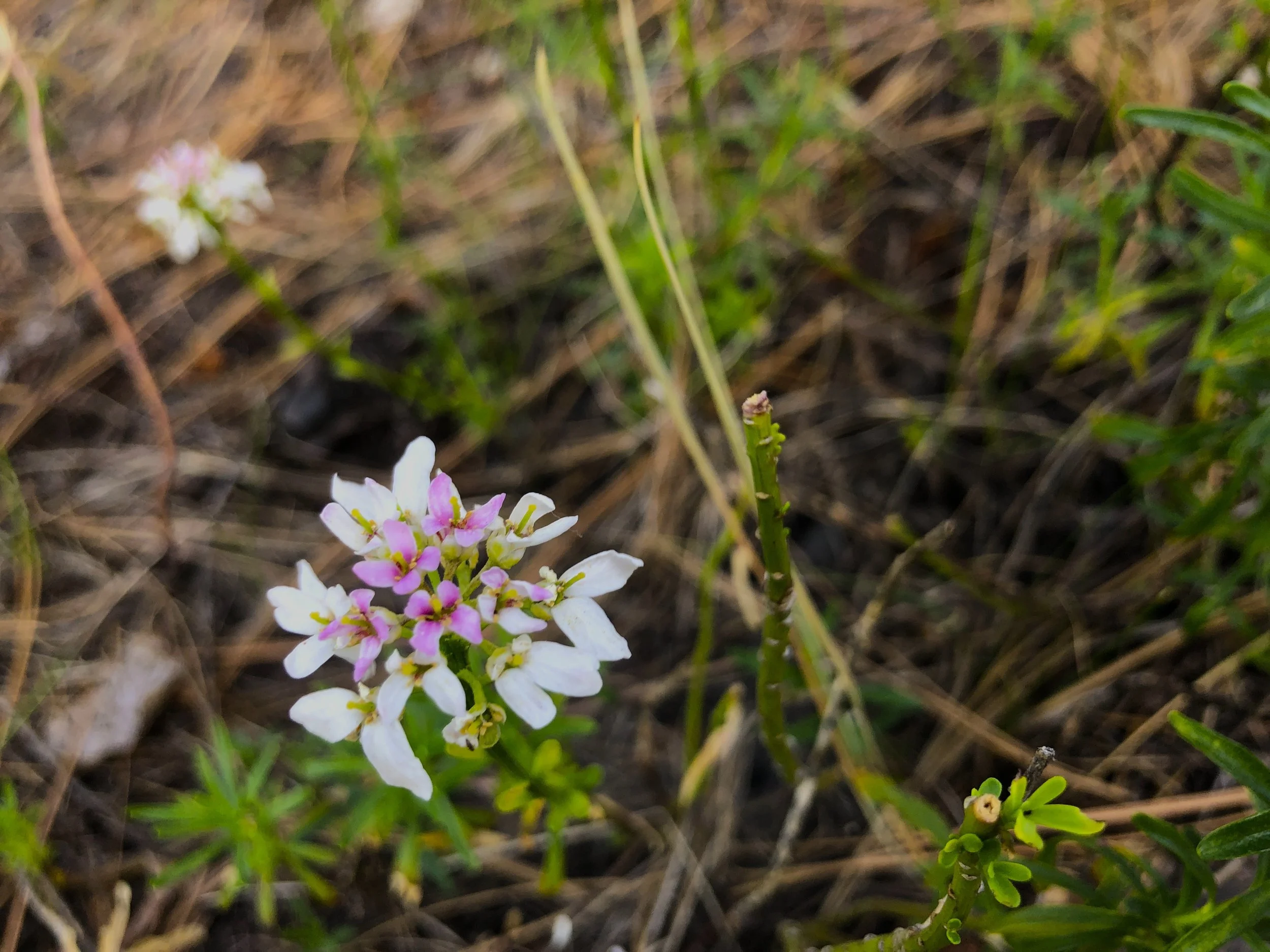 Worship Service • May 28, 2023