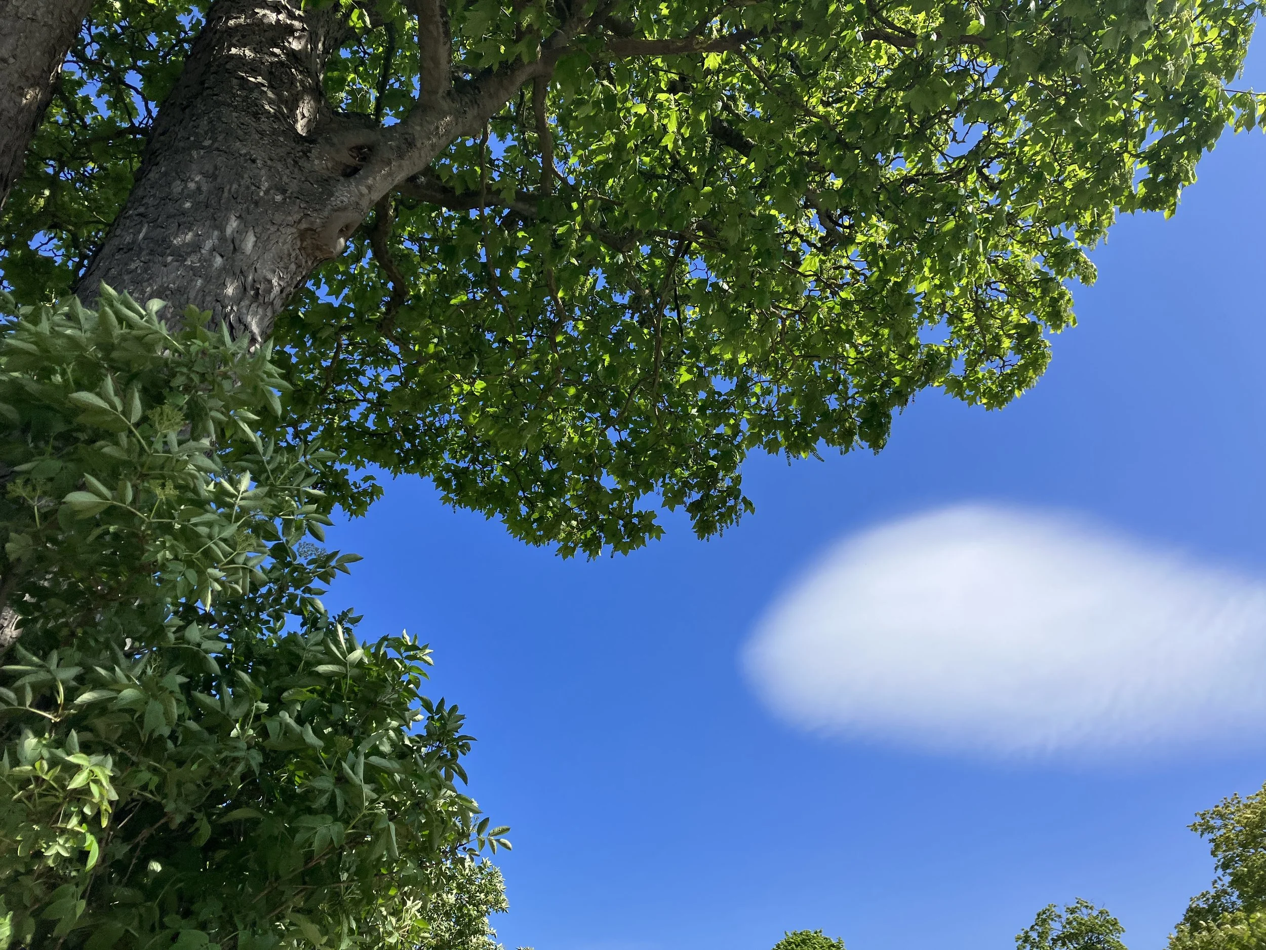 Worship Service • July 16, 2023