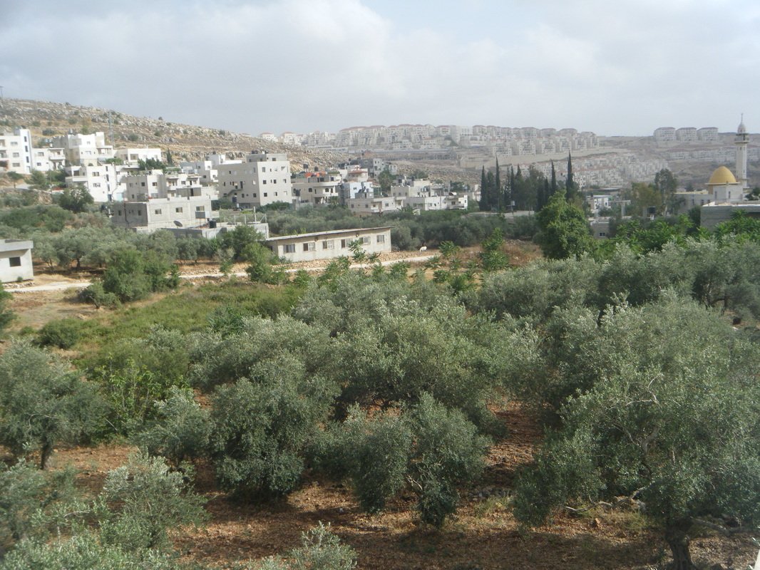 On Aug. 20th &amp; 24th, Learn More About Conditions in the Middle East