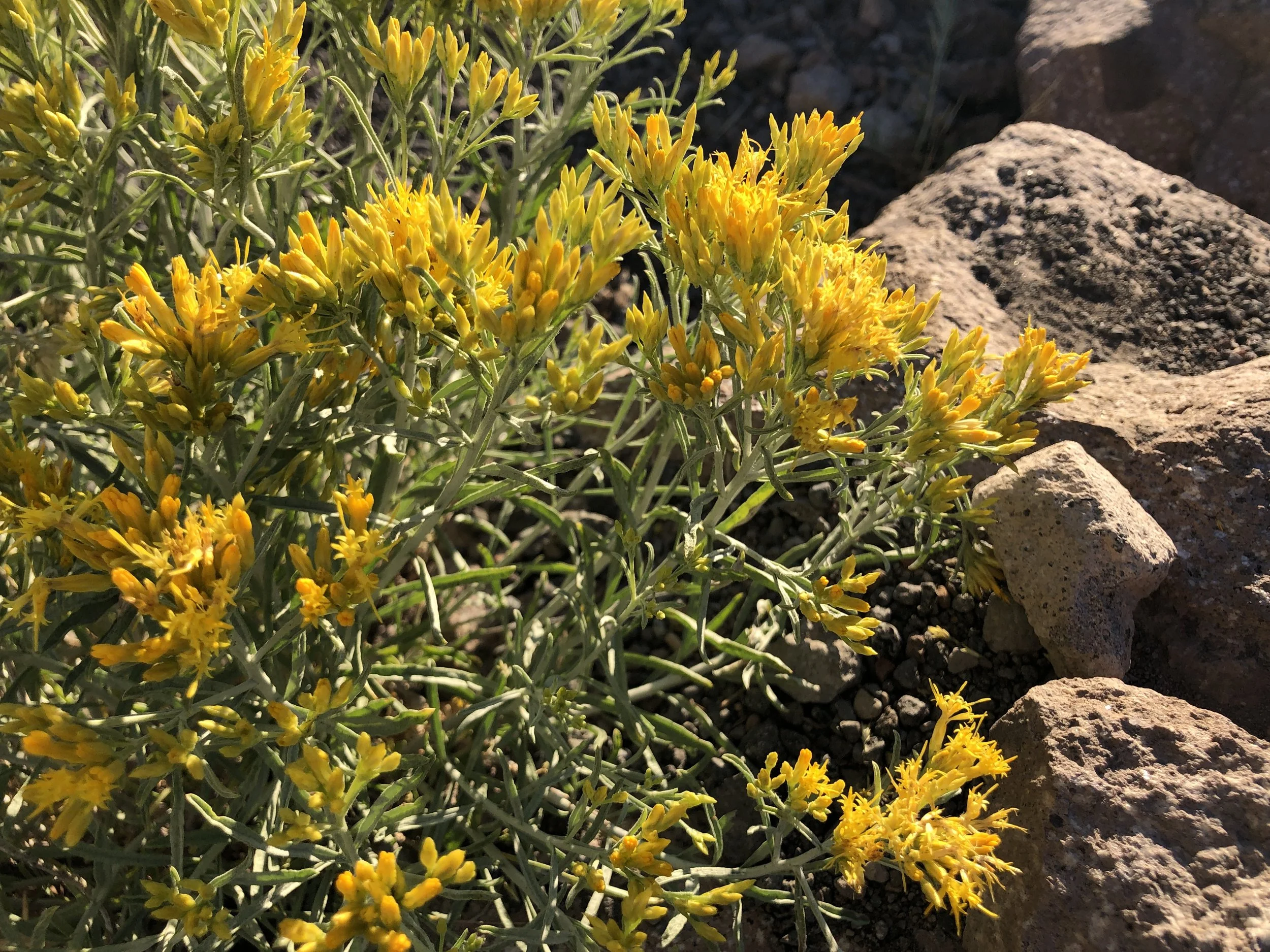 Worship Service • September 17, 2023