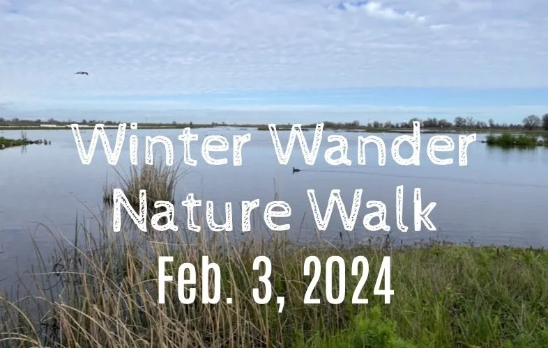 Bethany "Winter Wandered" on February 3