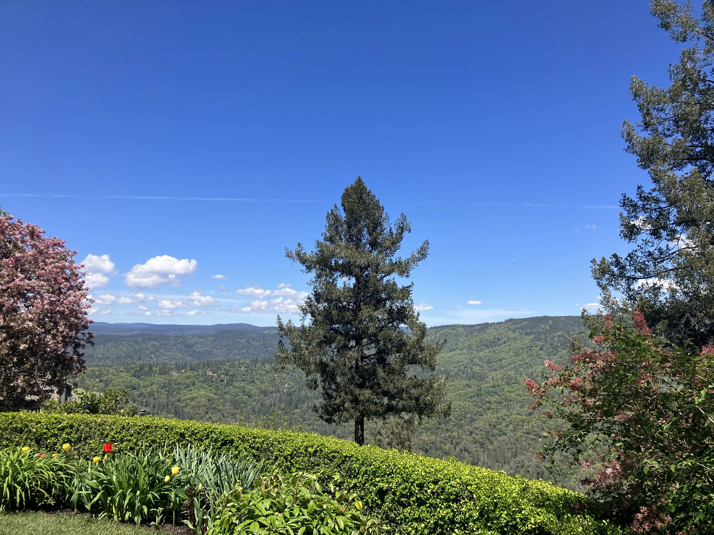 Worship Service • June 9, 2024 