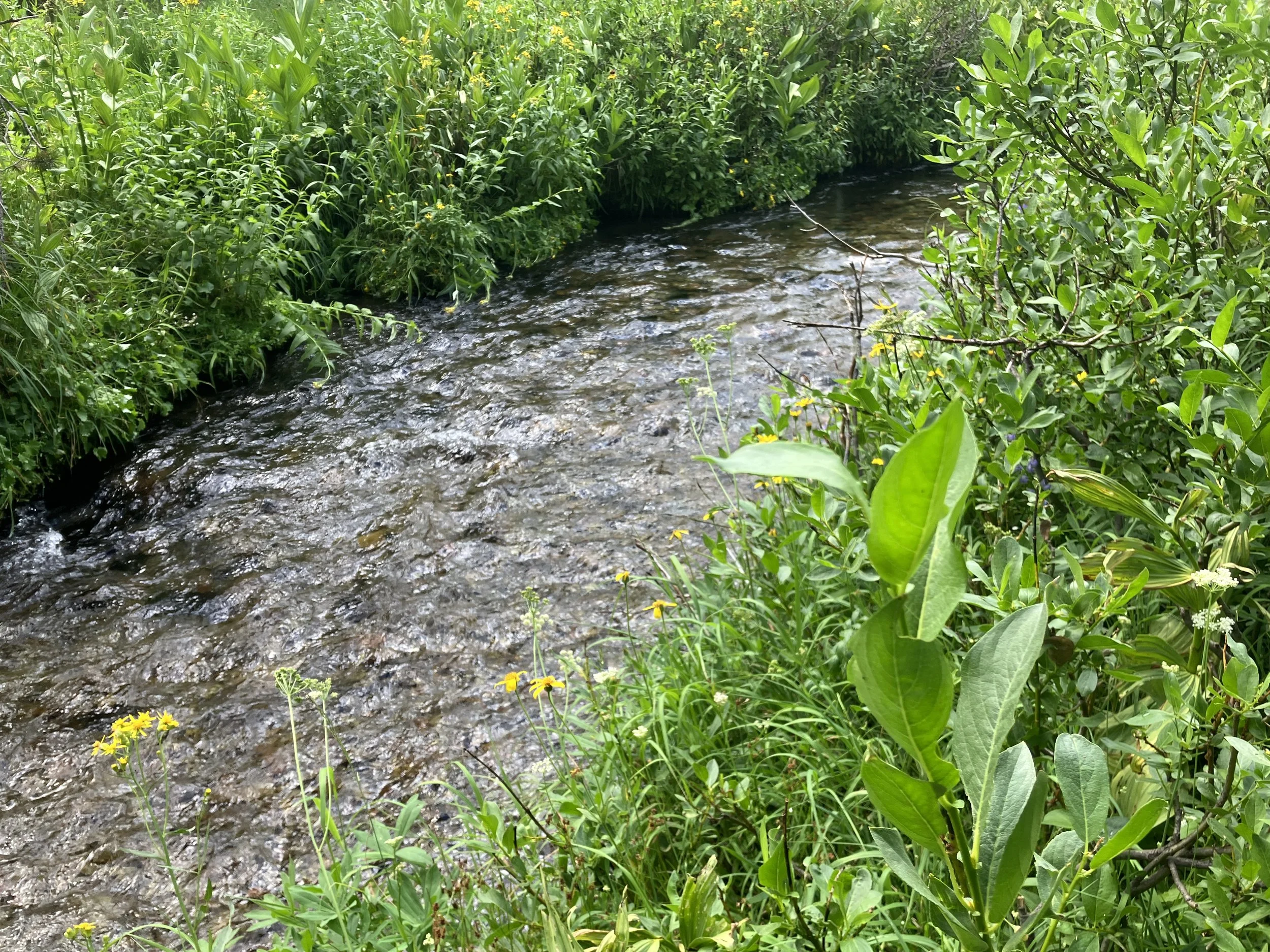 Worship Service June 23, 2024