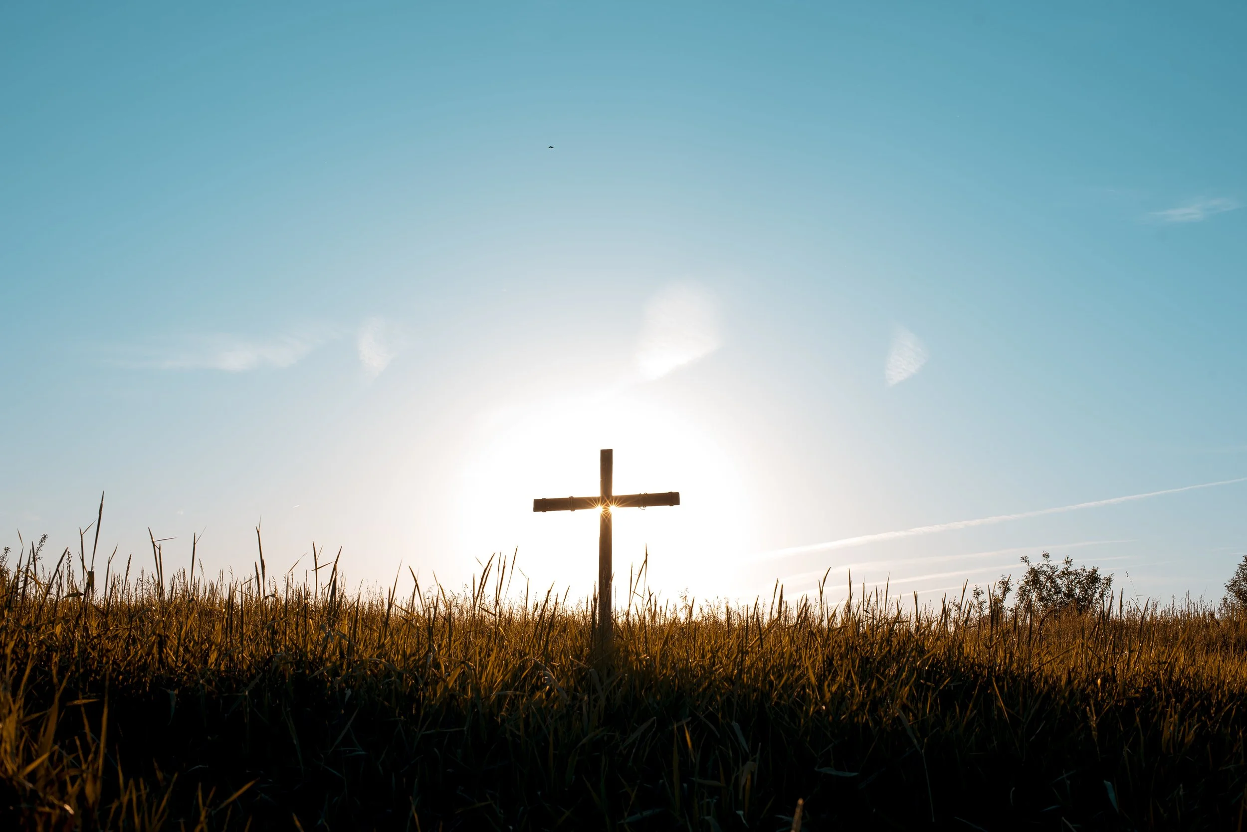From the Pastor