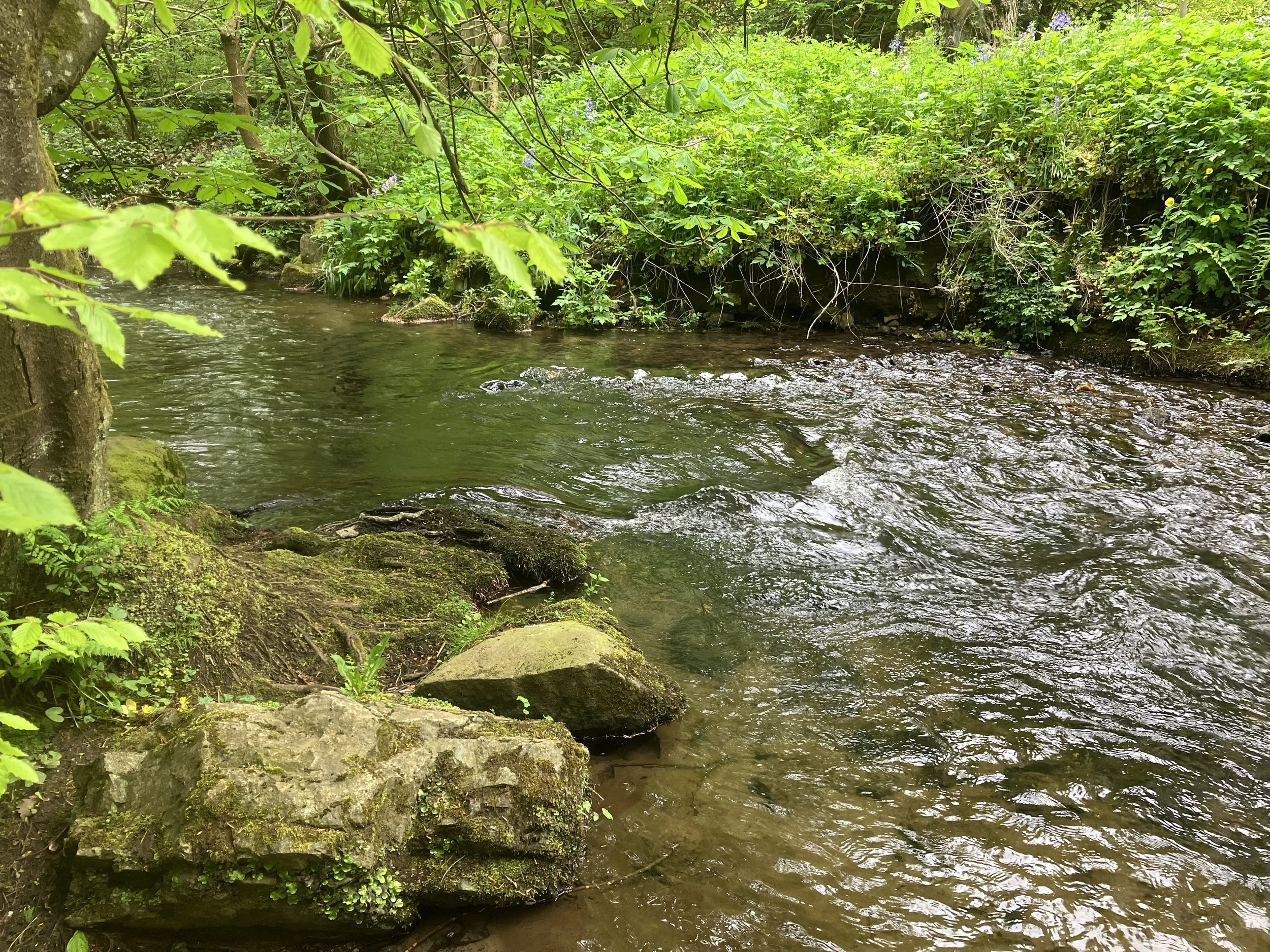 Worship Service • July 28, 2024