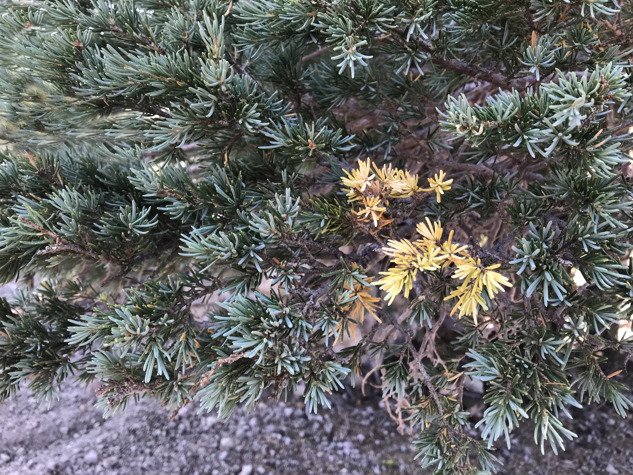 Worship Service • August 4, 2024