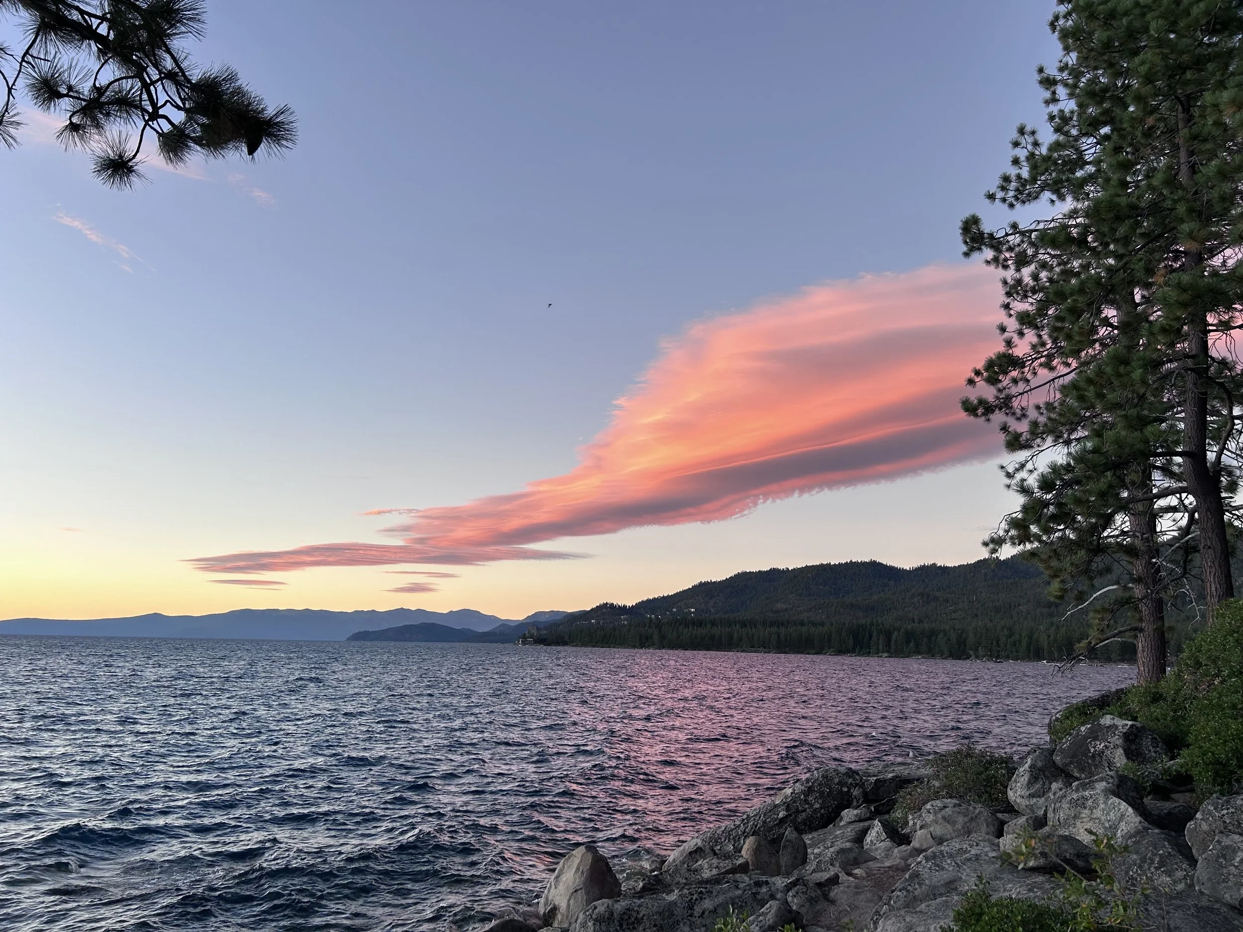 Worship Service • August 18, 2024