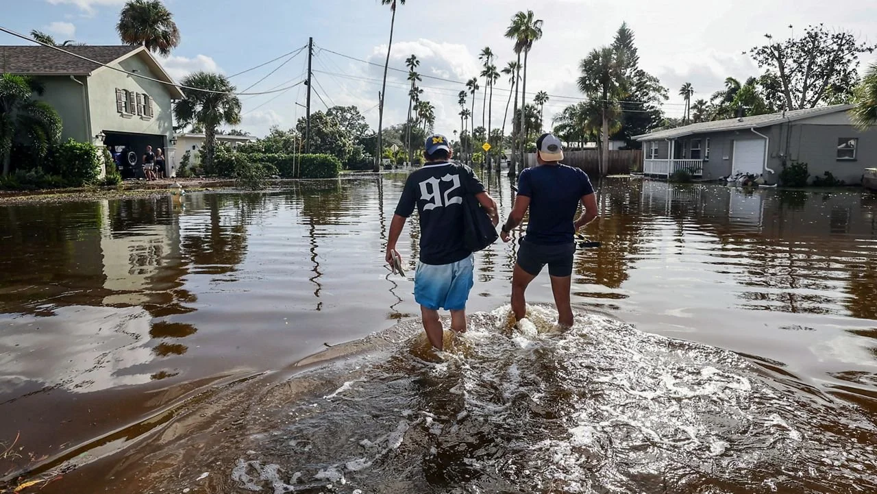 Support Disaster Relief and Hurricane Helene Victims