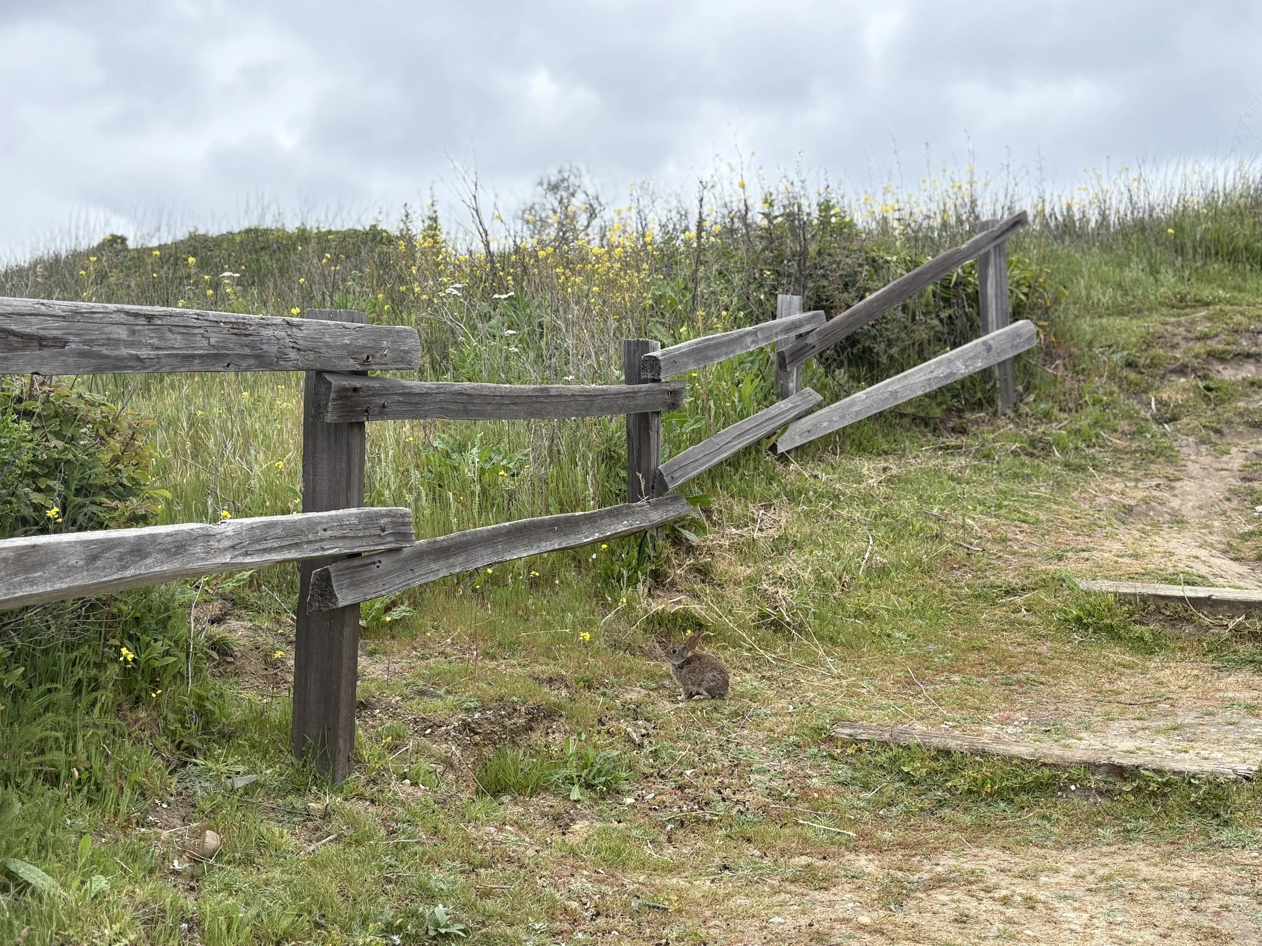 Worship Service • May 25, 2025