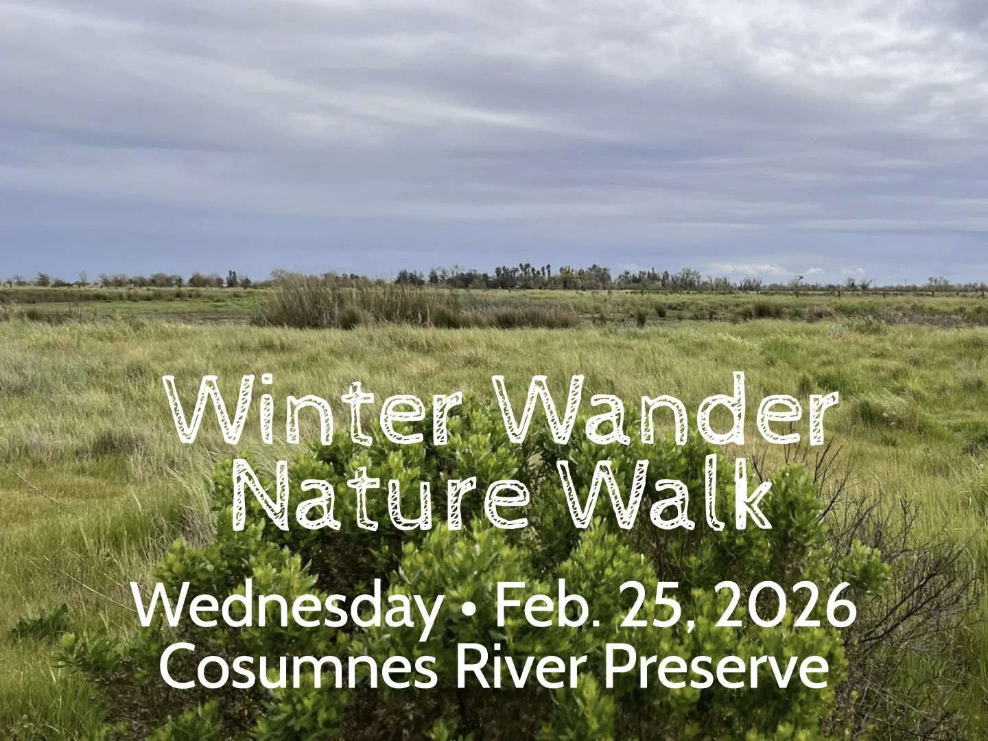 winter walk images for web.002.jpeg