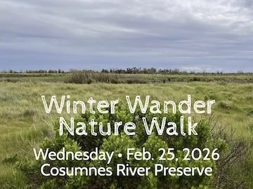 Annual "Winter Wander" Held February 25