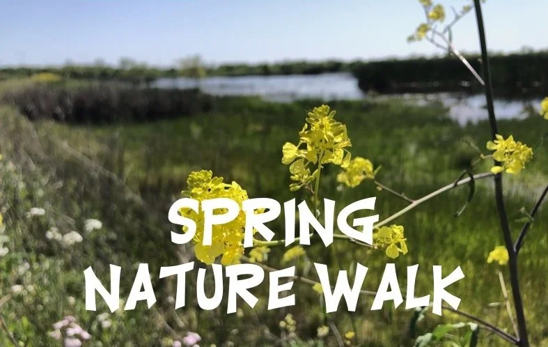 Come Along for the Spring Nature Walk
