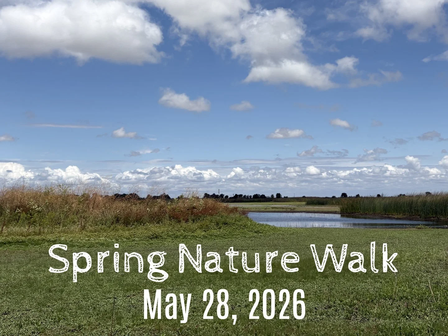 spring nature walk for web gallery 2026.001.jpeg