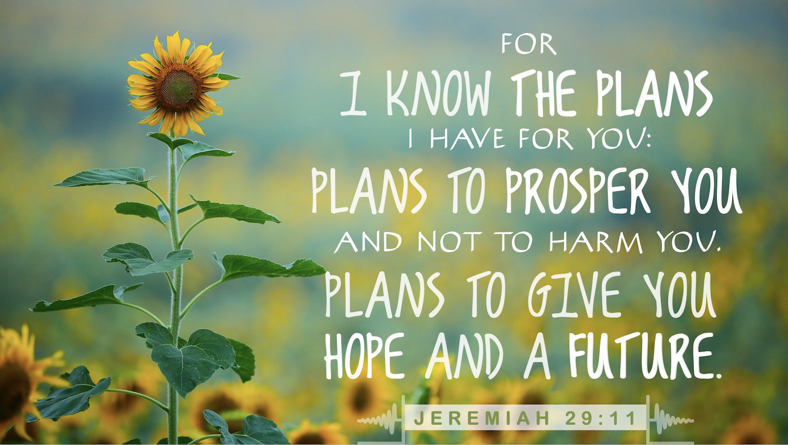 jeremiah 29-11 plans I have for you.png