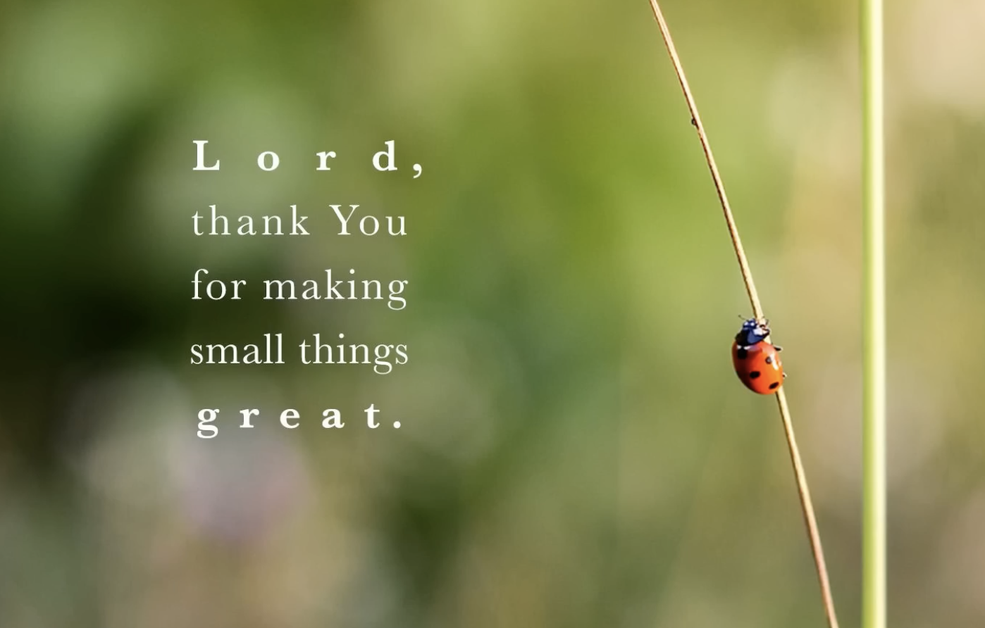 Screenshot 2024-10-10 at 9.34.32 PM.png