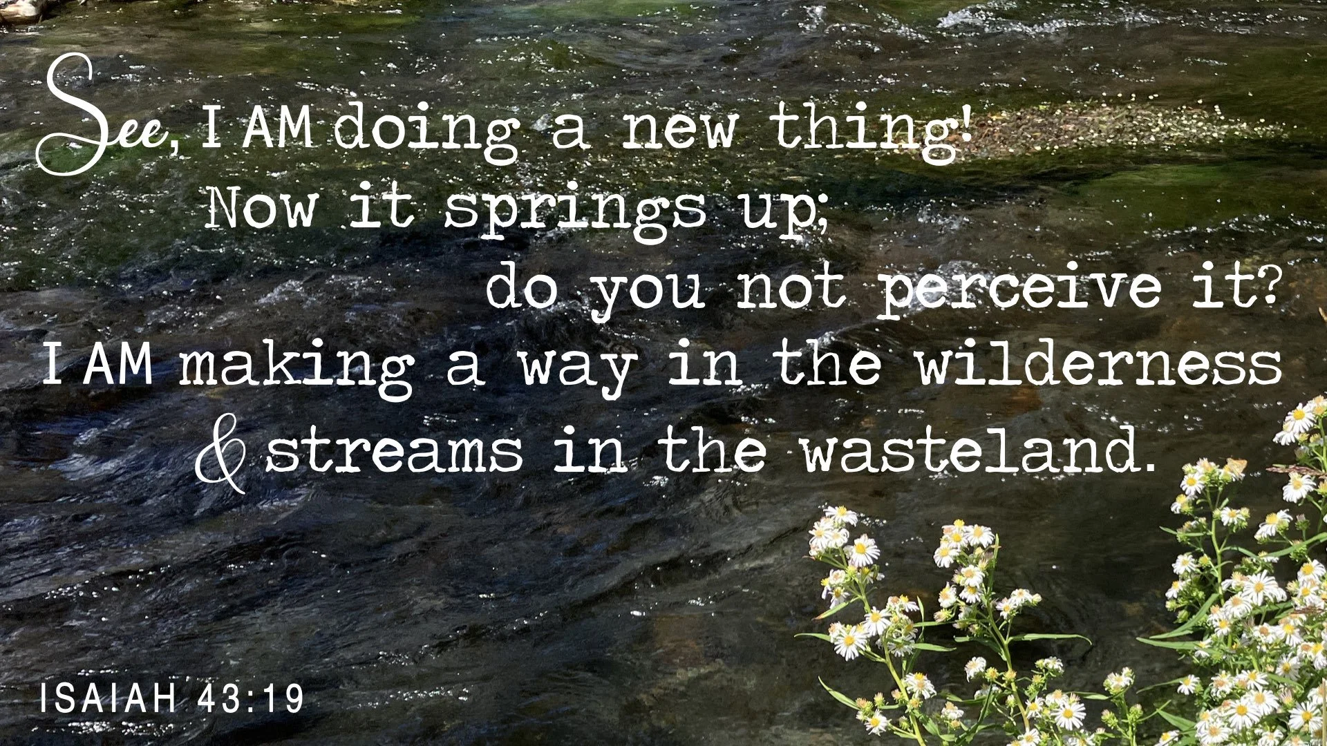 Isaiah 43 see I am doing a new thing.001.jpeg