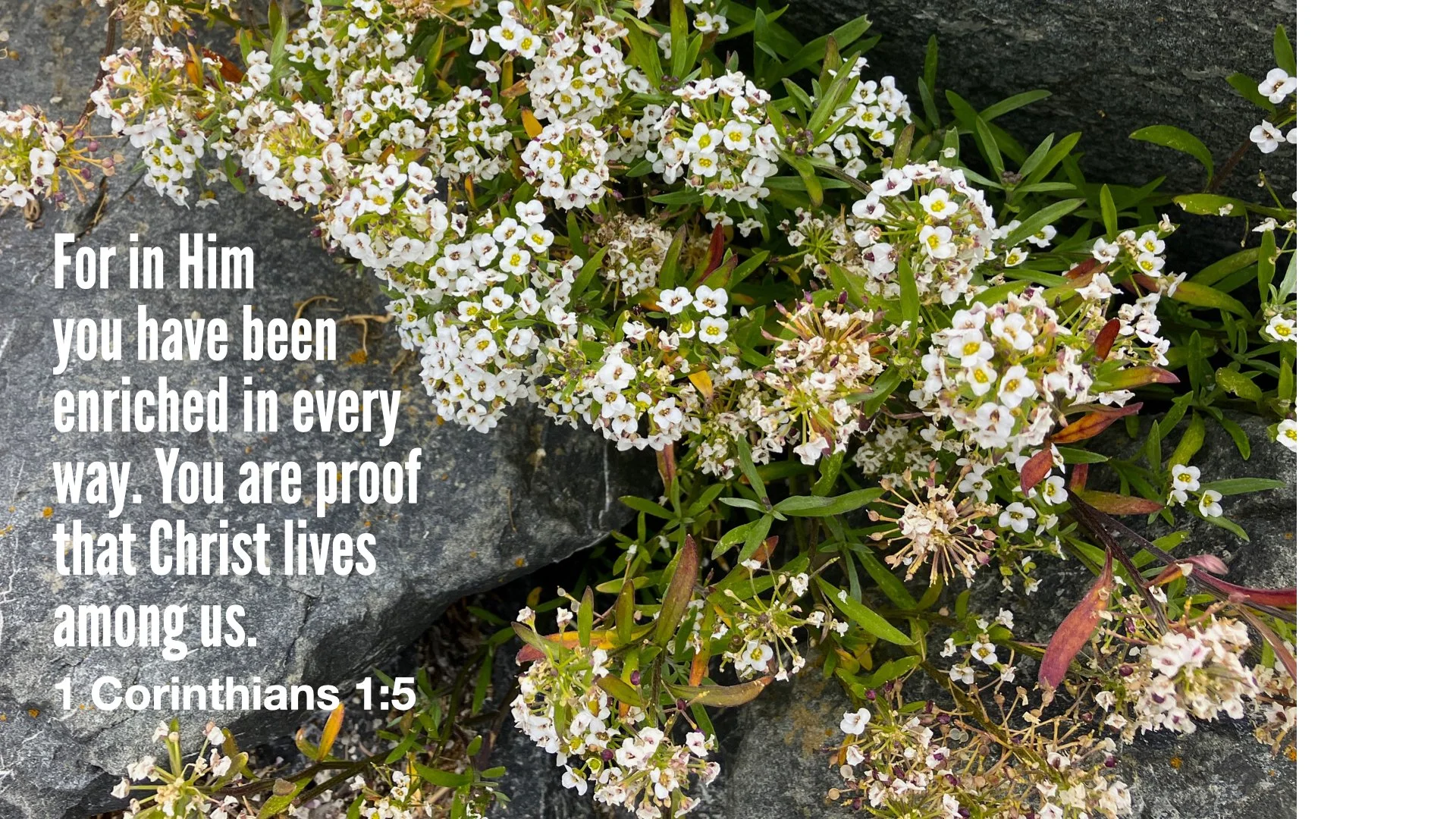 1 corinthians 1-5 proof christ enriched.001.jpeg