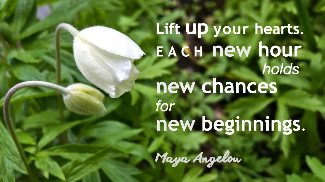 Maya Angelou quote.001.jpeg