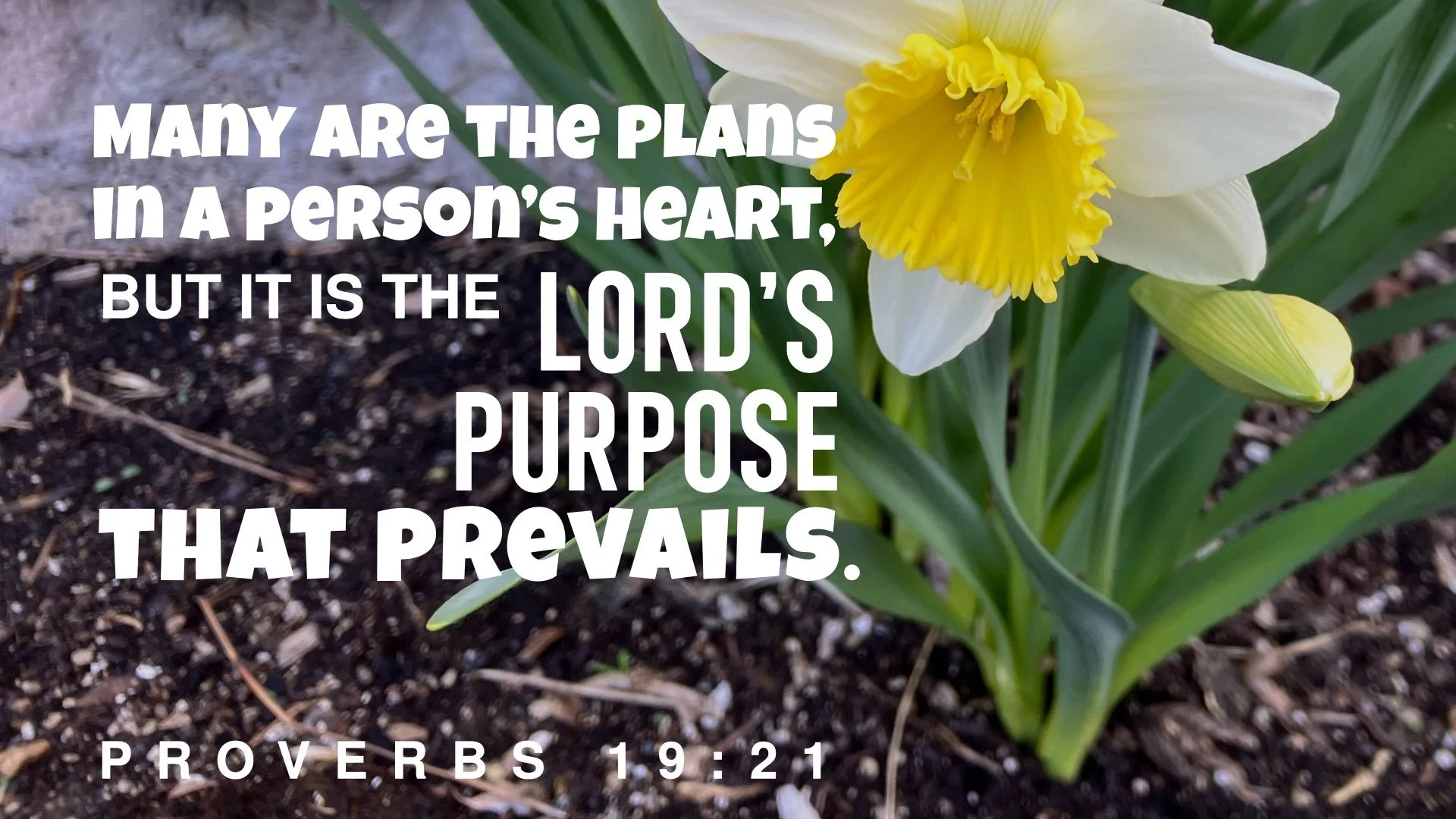 proverbs 19-21 plans.001.jpeg