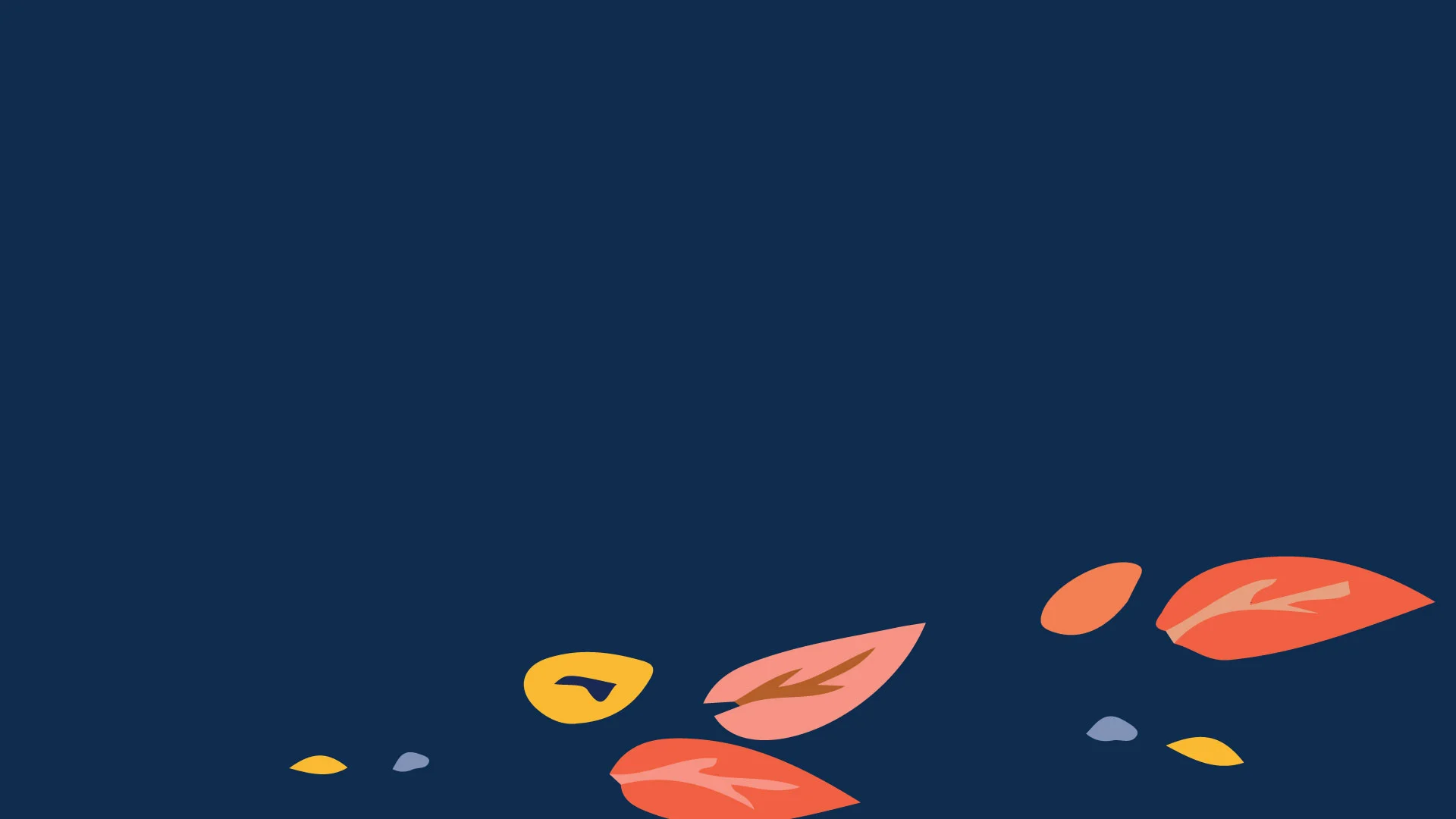 WN_J000152---VoF-Brand-Refresh_Concept_Working_C04.jpg
