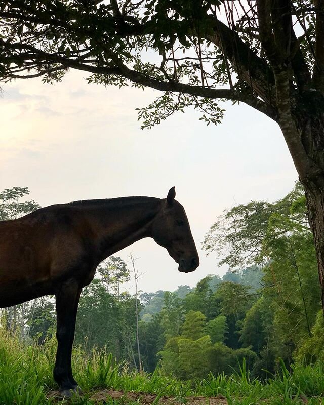 The sun setting on another day in beautiful isolation.... Letting go and stopping for a moment is always incredibly difficult to begin with....the mind is racing; nervous for what lies ahead; what do you mean there&rsquo;s no office; shouldn&rsquo;t 