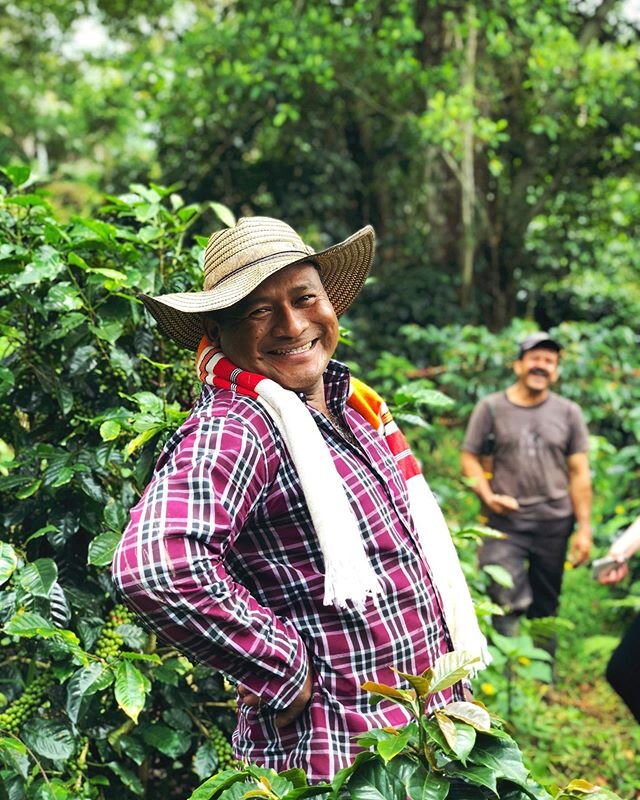 With that smile it must almost be time for THE HARVEST to begin!! ☀️ A few more weeks before the team - who live on the farm - start a love intensive process of harvesting (by hand!) our beautiful coffee trees... And what a process it is: by hand; up