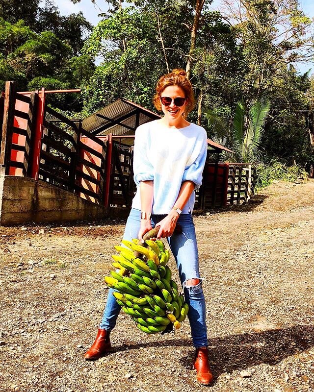 Going a little bananas 🍌 on what feels like day 225 (?!) of quarantine....so decided to pick some fresh from the tree! If you can&rsquo;t change it - embrace it 😜🤷🏻&zwj;♀️ In other news - we&rsquo;re planting a veg garden at the farm 🥑🥬🌽🥕 to 