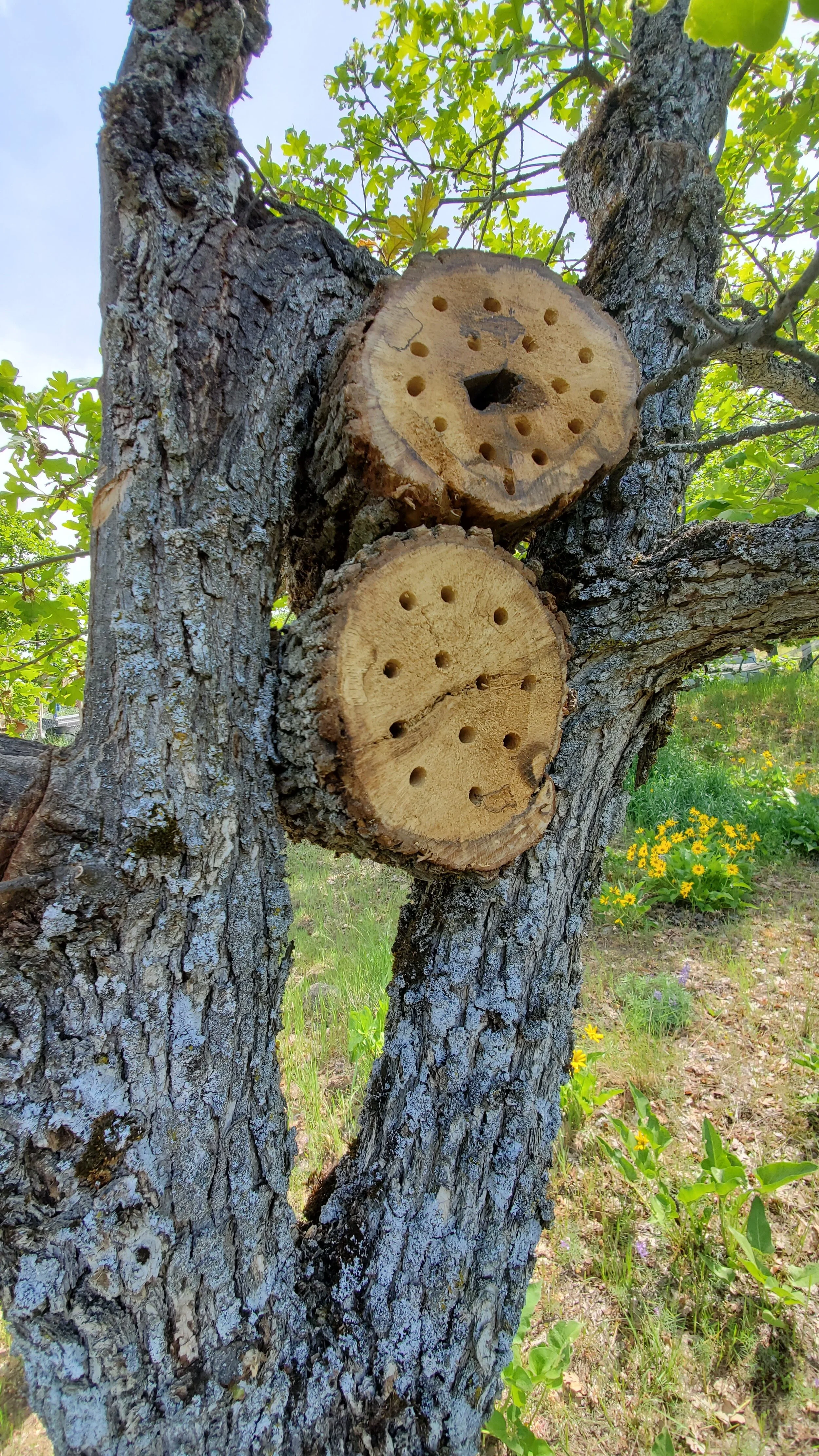 DIY Mason Bee House Instruction