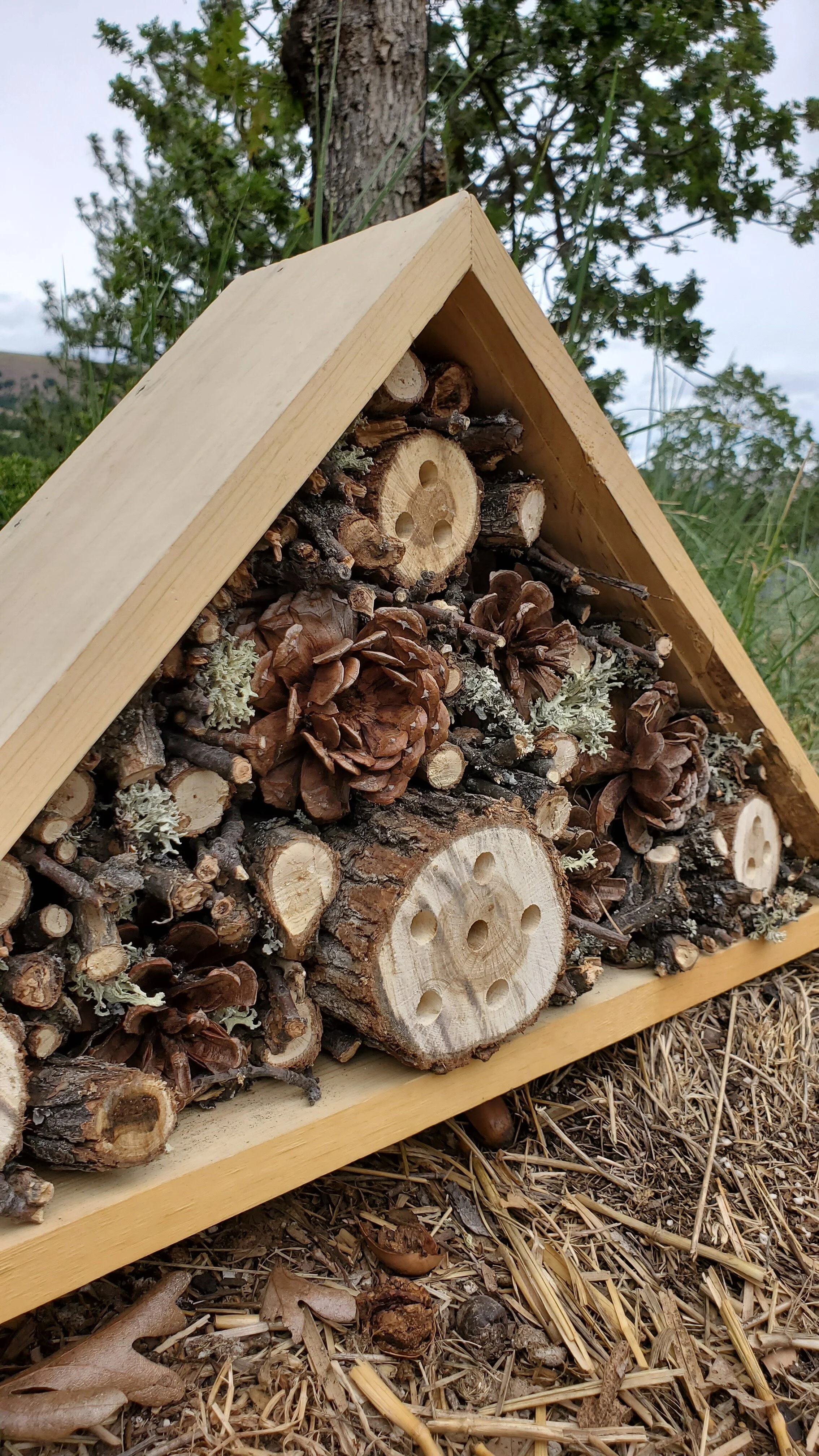 DIY Insect Hotel Instruction