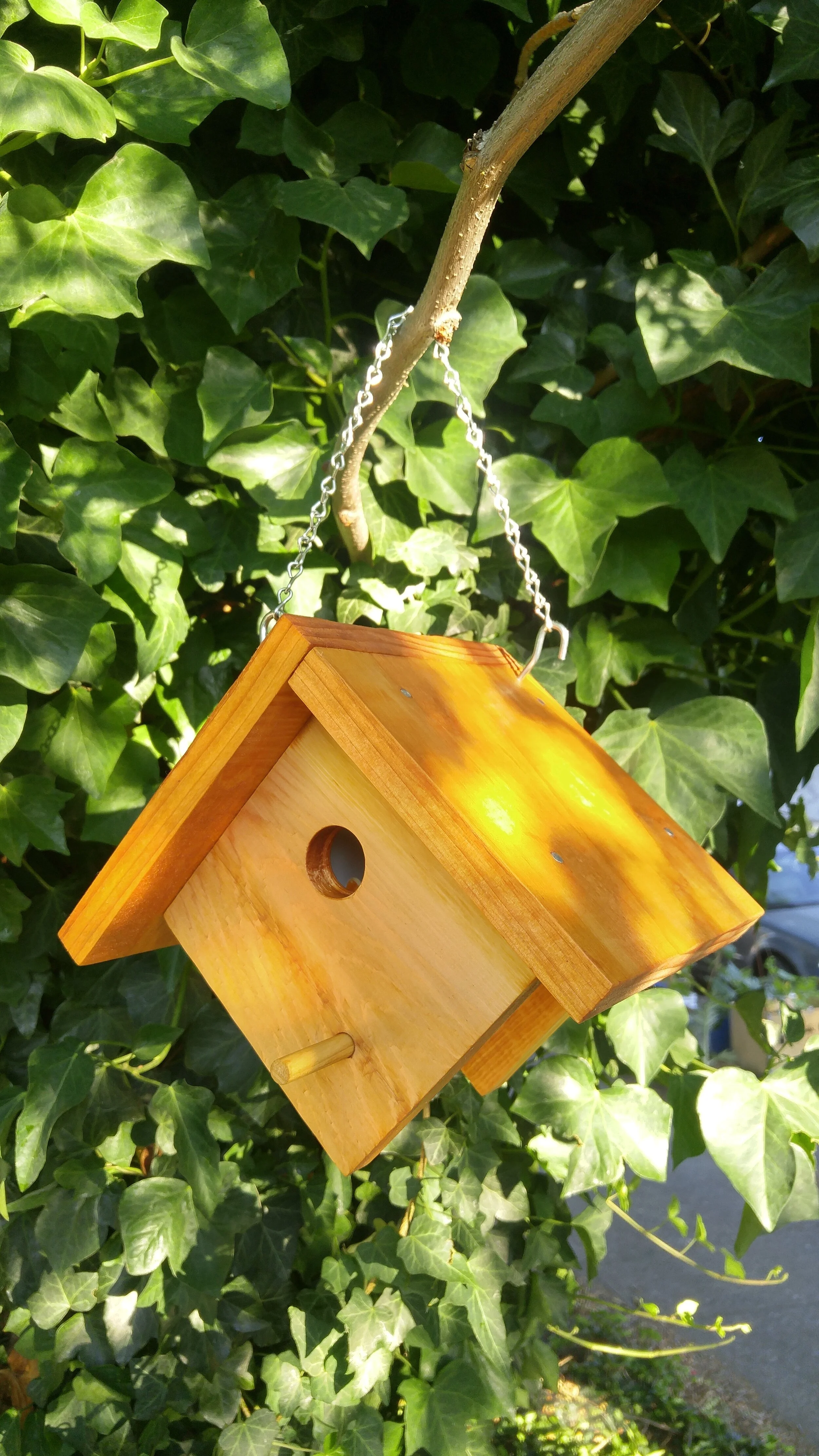 DIY Bird House Instruction