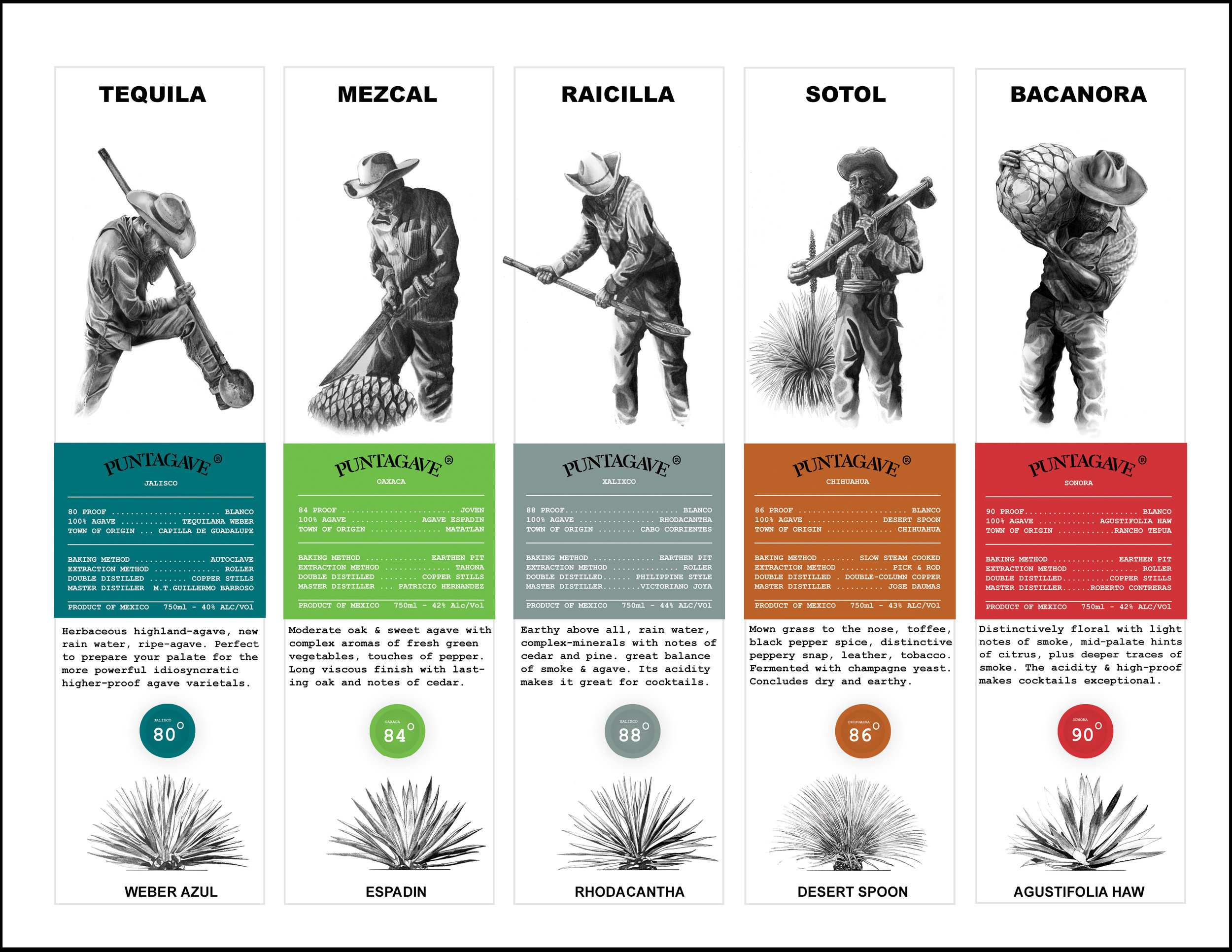 PUNTAGAVE SALES SHEET FRONT.jpg