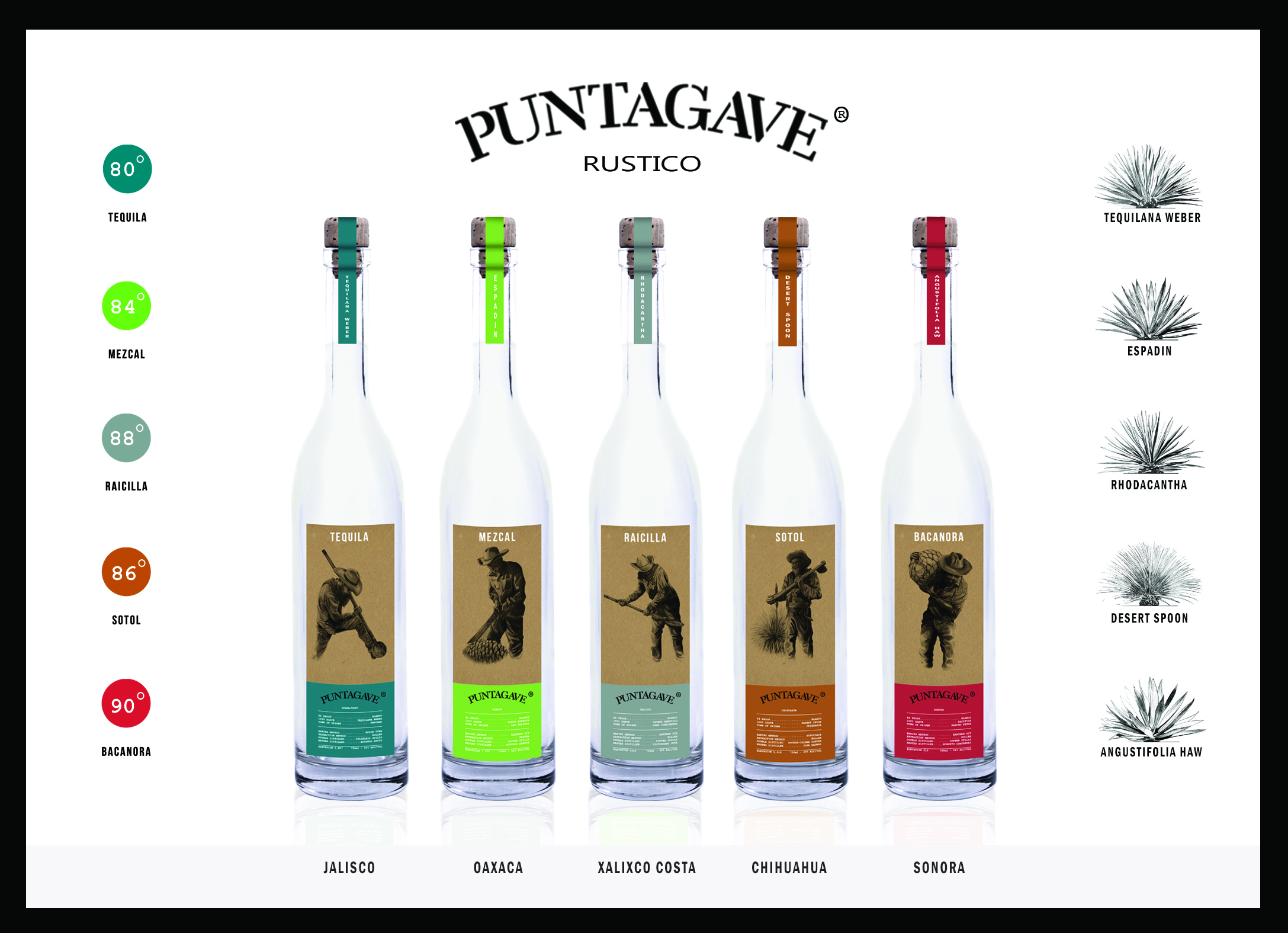 POSTCARD PUNTAGAVE RUSTICO.jpg