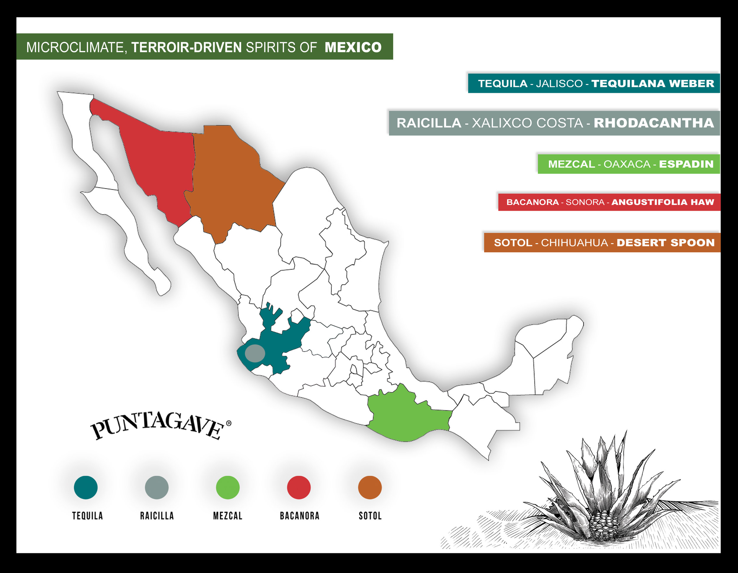 PUNTAGAVE SALES SHEET BACK 2nd edition copy.jpg