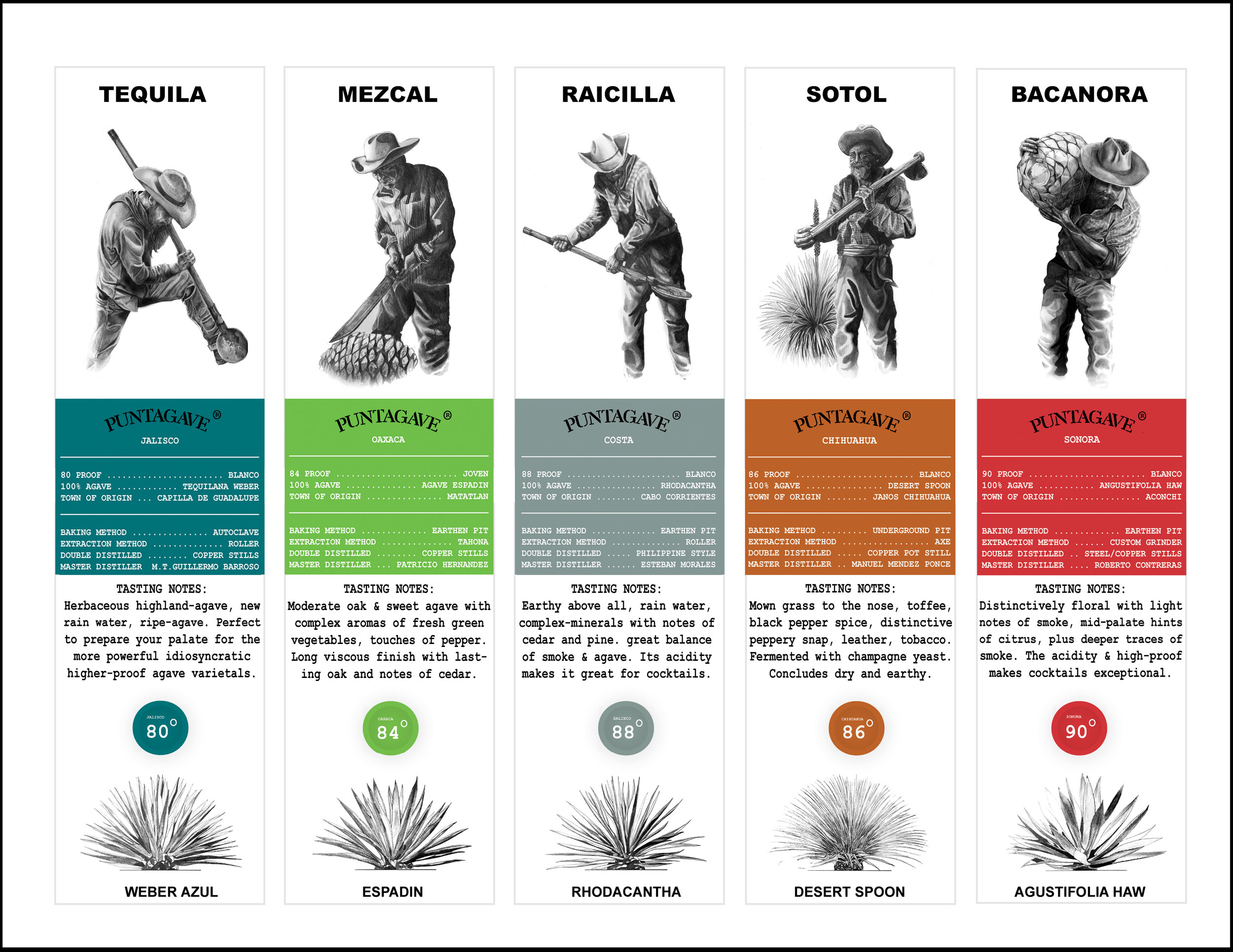 PUNTAGAVE SALES SHEET FRONT 2nd edition copy.jpg