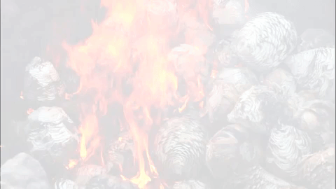 giphy+(3).gif