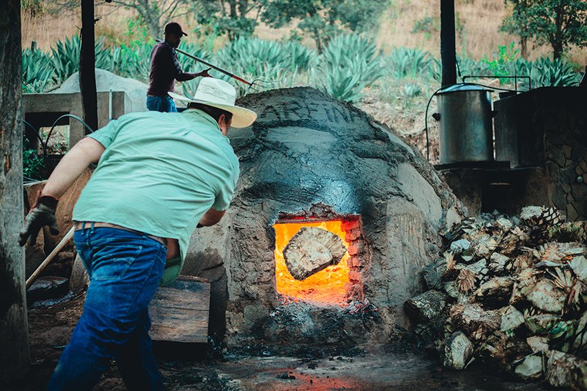 LA REINA — IN AGAVE WE TRUST