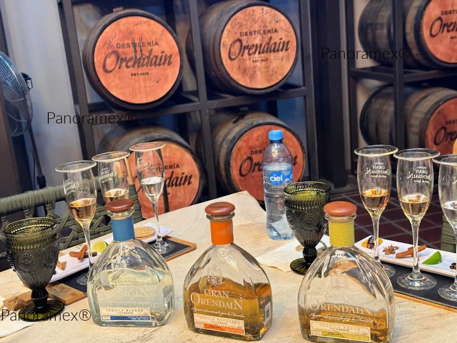 Tequila_tasting_Tour_Guadalajara.jpg