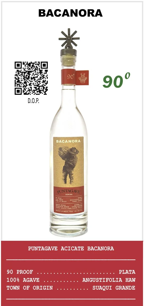 1014 Puntagave ACICATE Bacanora copy.jpg