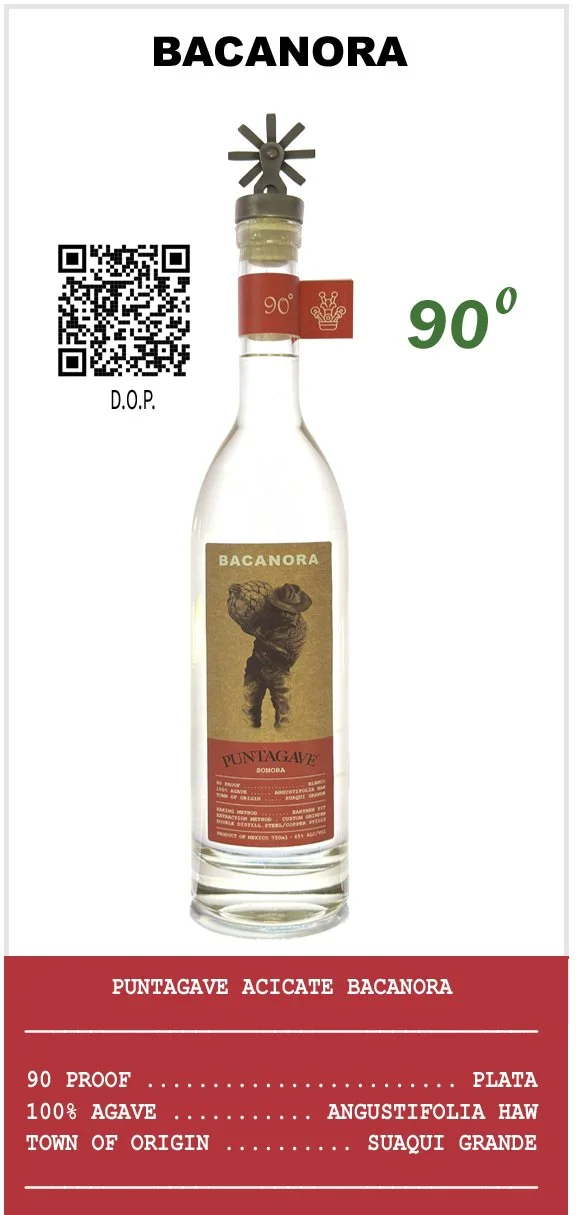 1014 Puntagave ACICATE Bacanora copy.jpg