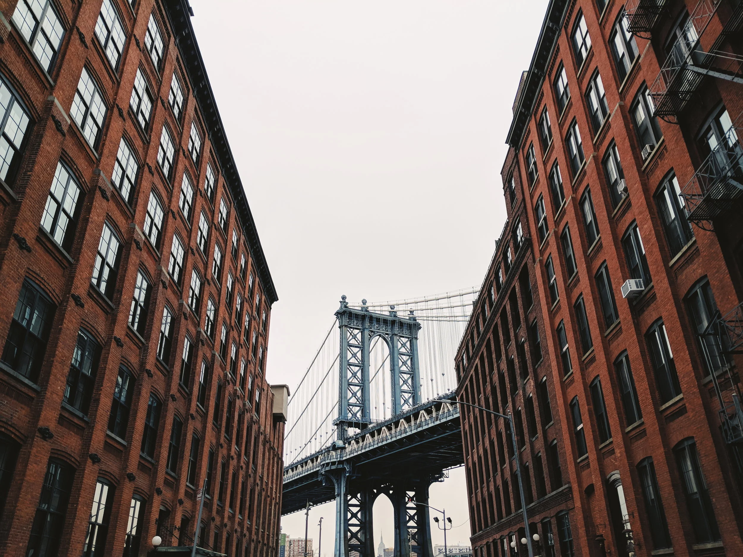 nyc6.jpg