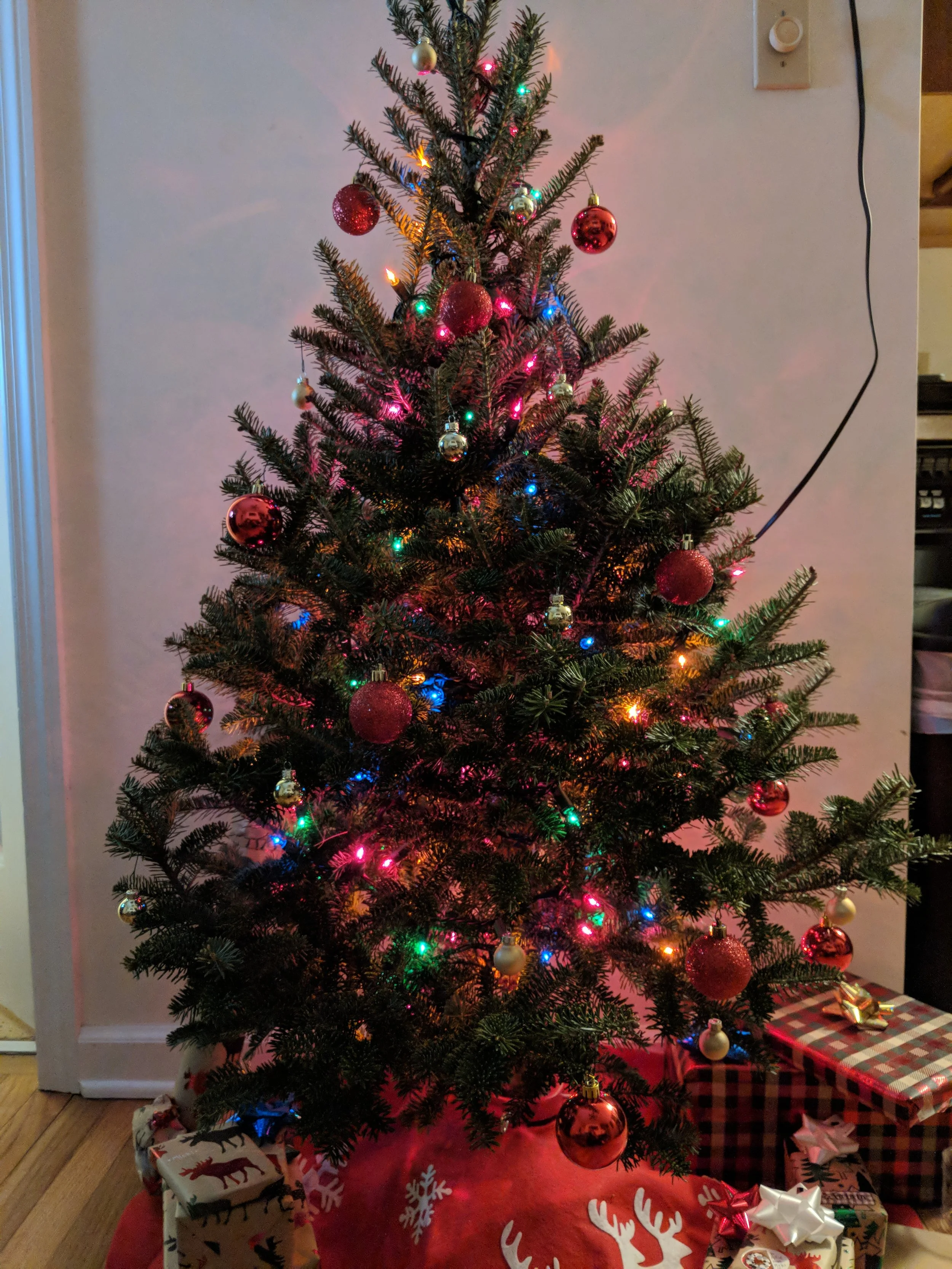 tree1.jpg